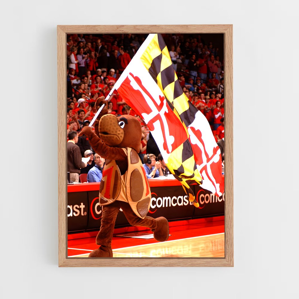 Poster Terps Dunk – affiche Basketball (vue 4)